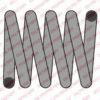 FORD 1067312 Coil Spring